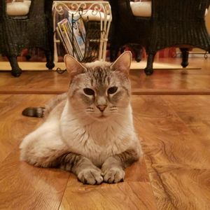 Meet your Posher, Terri